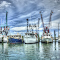 Salty Shrimp Boats by Lloyd Gillies