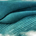 The Great Whale