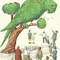 The Parrot Tree by Eric Fan