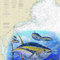 Tuna Chart by Mark Ray