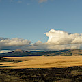Valles Caldera National Preserve II
