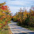 Winding Road Ahead by Duluth To Door County Photography