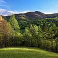 Blue Ridge Meadow by Steven Nelson