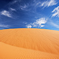 Coral Pink Sand Dunes State Park, Kanab, Utah