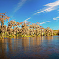 Edward Ball Wakulla Springs state park, Florida #1 Photograph by Miroslav Liska