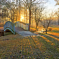 Golden Morning Bridge #1 by Greg Lane