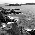Hyeres, Giens, France, Mediterranean Sea, rocky coastline black and white #1 by Severija Kirilovaite