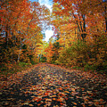 Minnesota North Shore Backroad in Autumn #1 by Adam Mateo Fierro