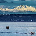 Olympic Mountains Washington