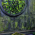 Secret Garden