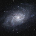 Triangulum Galaxy