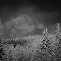 Winter wonderland #141 by Robert Grac