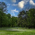 Countryside #16 by Robert Grac