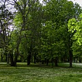 Countryside #17 by Robert Grac