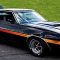 1972 Ford Gran Torino Fastback Photograph by Flees Photos