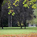 Autumn