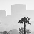 Newport Beach Skyline Black and White Panorama Photo #2 Photograph by Paul Velgos