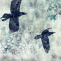 2 Ravens In Flight by Priska Wettstein