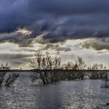 Welches Dam - Cambridgeshire #2 by Murray Croft