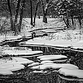 2645-2 Snowy Creek