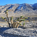 Death Valley National Park