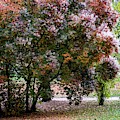 Autumn 