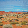 Valley of Fire - Mountain Vista
