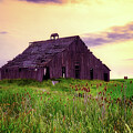 A Lifetime of Harvests by Kevin Schwalbe