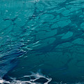 A Wave's Beating Heart Photograph by Debra Banks