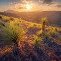 Above the Desert by Slow Fuse Photography