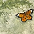 Amber Wings - Plain Tiger Butterfly by Judy Strickland