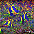 Angelfish Abstract