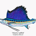Atlantic Sailfish Sketch by Mark Ray
