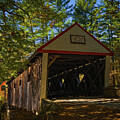 Autumn at Lovejoy Covered Bridge by Ron Long Ltd Photography