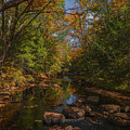 Autumn Creek in Western Maine by Ron Long Ltd Photography