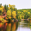 Autumn has arrived in Newfoundland, Canada