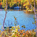 Autumn River with White Birch Trees - Quebec, Canada