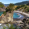 Beach North of Otter Point