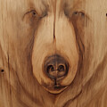 Bear Face on Wood with Knots and Features by Andre Petrov