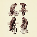 Bears on Bicycles by Eric Fan