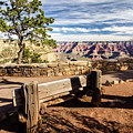 Bench Overlooking the Grand Canyon