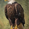 Bird painting of a bald eagle in a tree branch