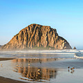 Birds on the Shoreline at Morro Rock by Matthew DeGrushe