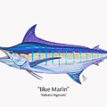 Blue Marlin Profile by Mark Ray