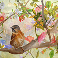 Bluebird On A Blossoming Branch
