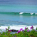 Bondi Beach Surfers by Waterdancer