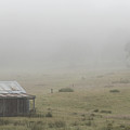 Brayshaw's Hut by Nicholas Blackwell