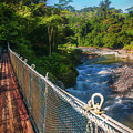Bridge Over The Pacuare