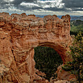 Bryce Natural Bridge Pano by Tim Lyden