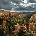 Bryce Swamp Creek Canyon by Tim Lyden